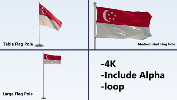 Singapore Flag Pole Pack 4k-Loop
