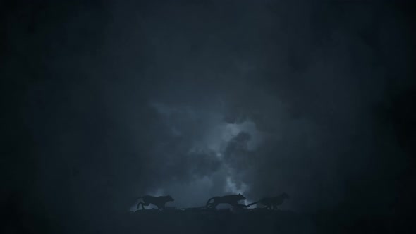 Pack Of Wolves Running Through An Epic Lightning Storm