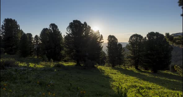 Mountain Meadow Timelapse