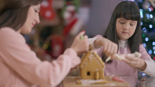 Concentrated Pretty Caucasian Girl Decorating Gingerbread Pastry with Woman on Christmas Eve Indoors