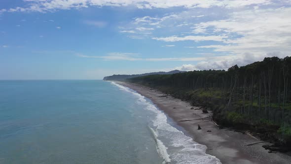 Aerial of Remote New Zealand Forest