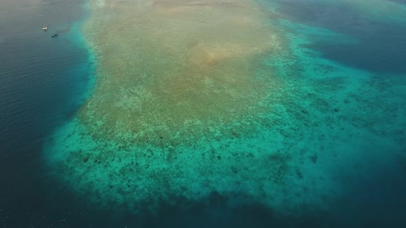 Coral Reef Atoll Bali