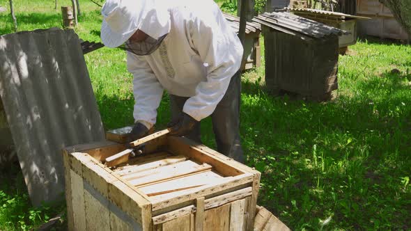 Male Beekeeper Working with Beehive Outdoors