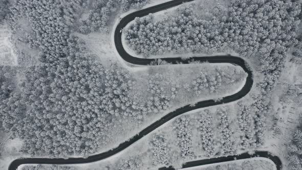 Aerial View on the Serpentine s Shape Road with Moving White Automobile in the Frozen Forest