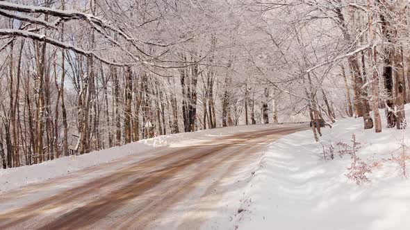 Slomo B Ack View Car Vehicle Drives On Snowy Road In Winter Forest