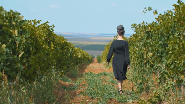 Young Woman in Summer Dress Walking Among the Vineyard