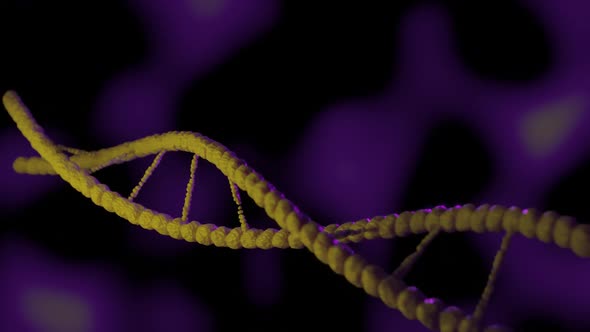 DNA molecule rotation loop endless RNA yellow purple virus