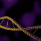 DNA molecule rotation loop endless RNA yellow purple virus - VideoHive Item for Sale
