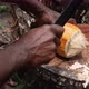 Seller Cuttiing Coconut By Machete - VideoHive Item for Sale