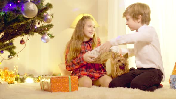 Misbehaving Children Fighting for New Year Gift Sitting in Living Room at Home