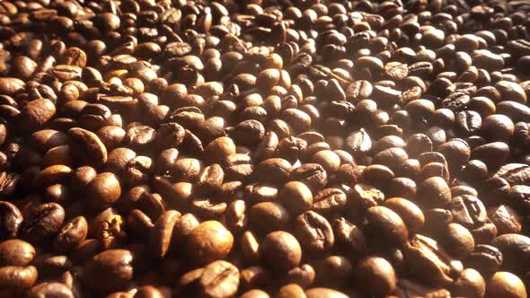 Coffee Grains