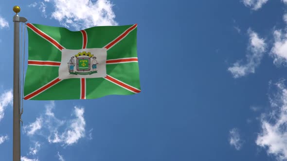 Goiania City Flag (Brazil) On Flagpole