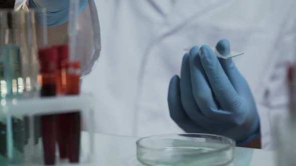 Laboratory Scientist Doing Medical Research on Blood Samples, Creating Vaccine