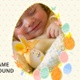 Easter Eggs Frame Overlay Background - VideoHive Item for Sale
