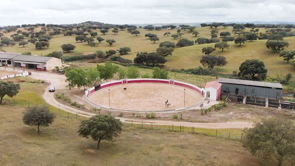 Drone footage of a man on a horse training on a bullring