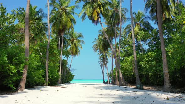 Wide fly over tourism shot of a paradise sunny white sand beach and turquoise sea background in high