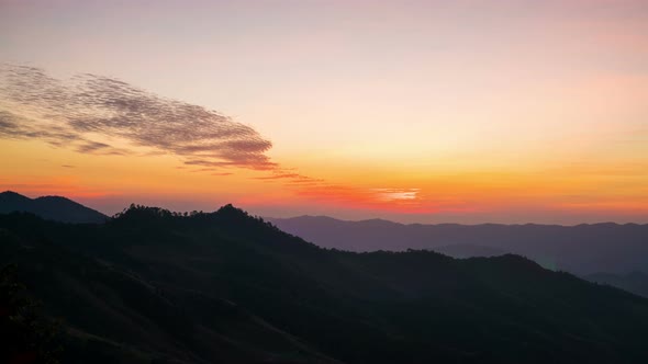 Mountain Forest In Evening