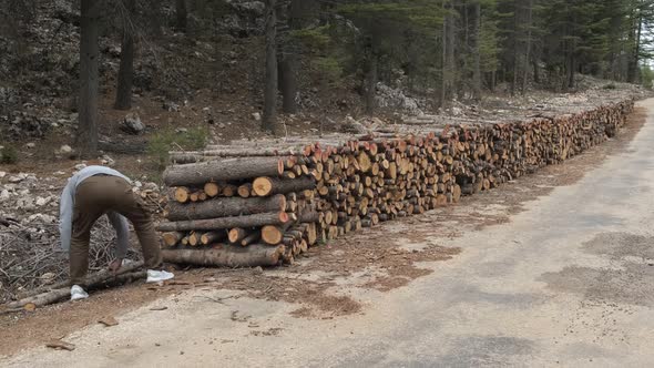 Sport Of Young Man With Logs