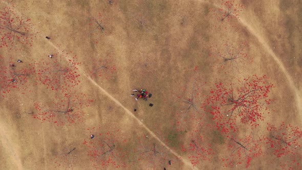 Aerial view of people in a countryside field, Dhaka, Bangladesh.