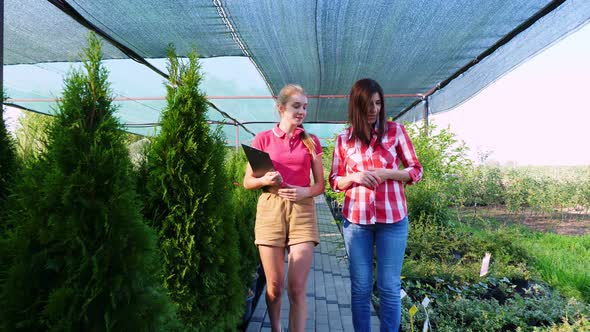 Buyer and Florist Have a Friendly Conversation in Floristic Greenhouse Market. Woman Choosing Plants