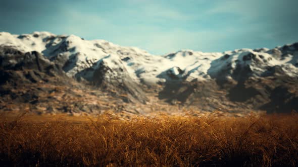 Dry Grass and Snow Covered Mountains in Alaska