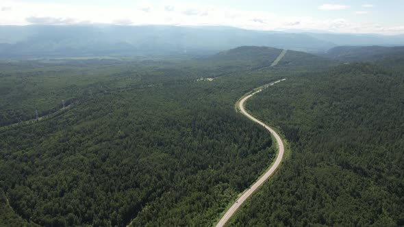 Winding Road in the West Siberian Taiga Ecoregion