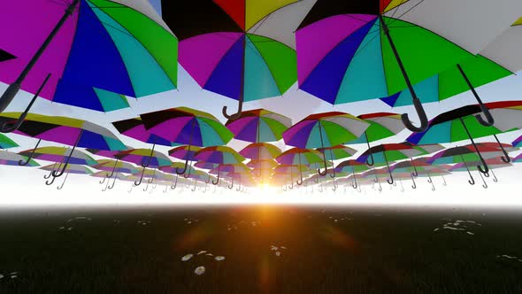 Colorful Umbrellas