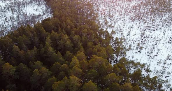 Aerial Drone Footage Over Sunset Forest in Winter Wonderland