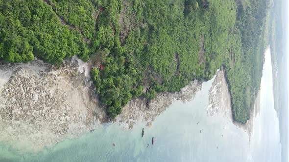 Zanzibar Tanzania  Ocean Shore Covered with Green Thickets Vertical Video Aerial View