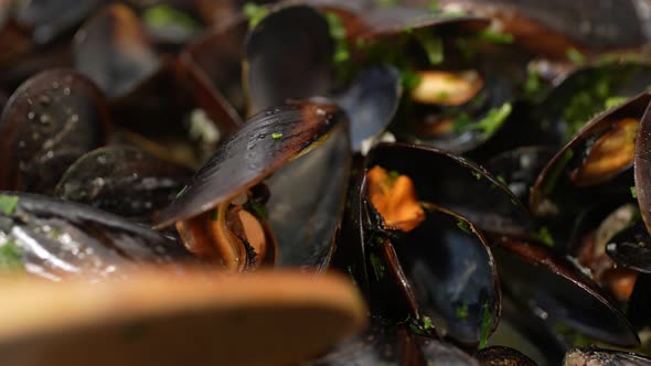 Mussels 18