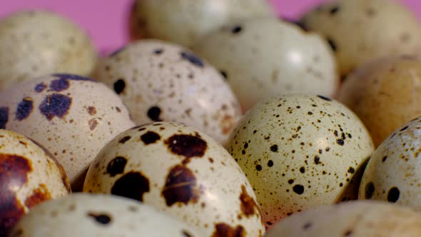 Quail Eggs Rotation Background