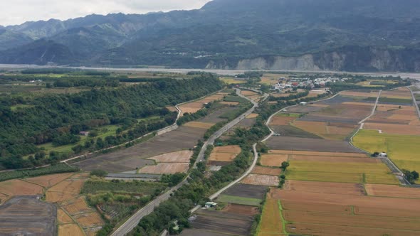 Drone fly over paddy rice field