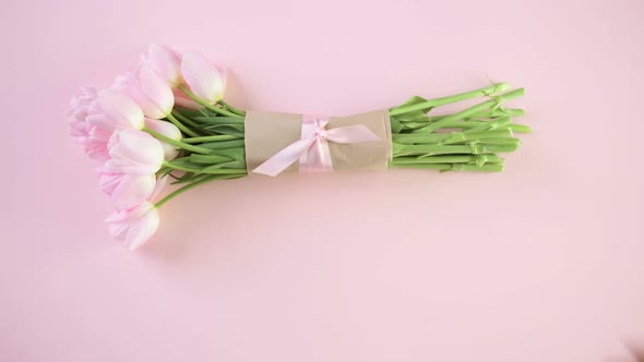 Bouquet of pink tulips on a pink background