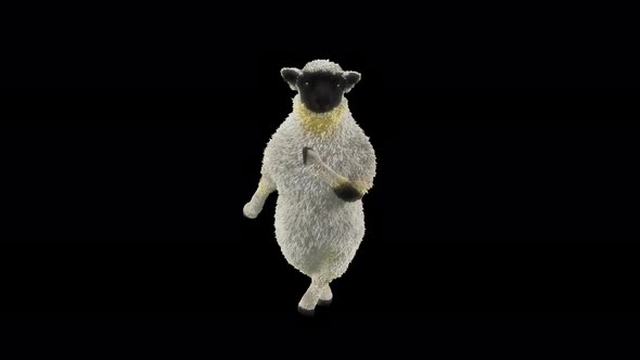 22 Sheep Dancing 4K