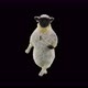 22 Sheep Dancing 4K - VideoHive Item for Sale