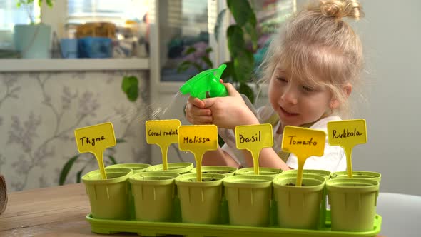 a Little Blonde Girl in an Apron is Engaged in Planting Seeds for Seedlings Spraying Planted Plants