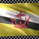 Brunei Waving Flag Looped - VideoHive Item for Sale