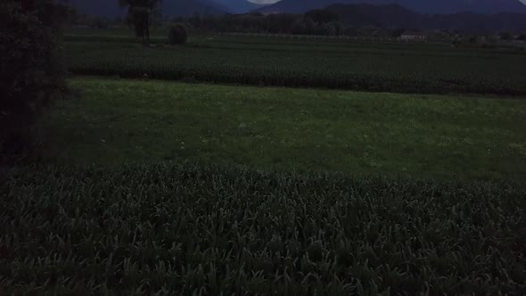 Aerial reveal type clip of a farm field in Levico Terme, Italy, during sunrise with drone flying for