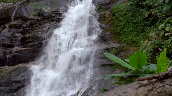 Jungle Waterfall Cascade in Tropical Rainforest 