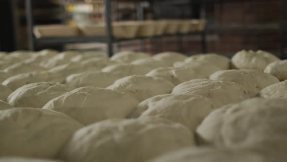 Animation of bread prepared for baking at bakery