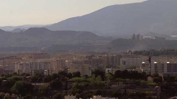 A bird flying over sunny Alicante