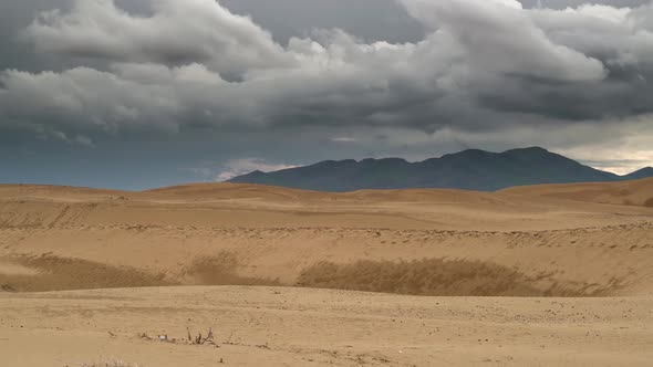 After Rain in the Desert alt