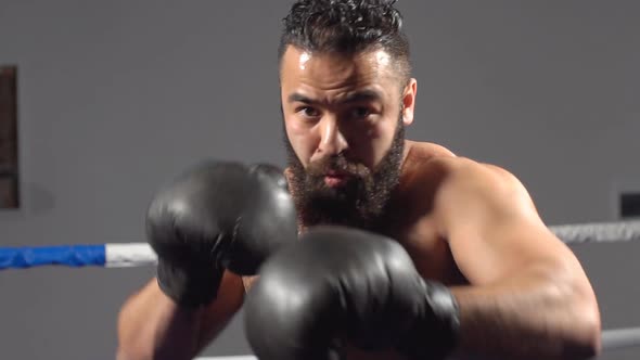 Man in Boxing Gloves in Boxing Training. Slow Motion