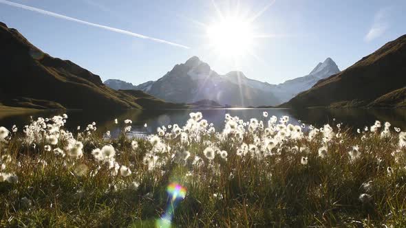 Picturesque View on Bachalpsee Lake in Swiss Alps Mountains