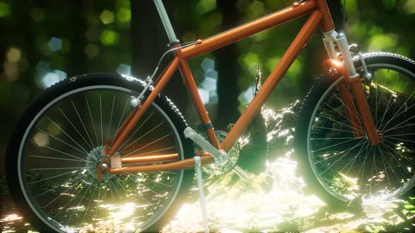 Mountain Bike on the Forest Path