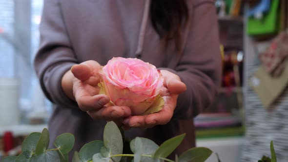 Closeup View of Woman Holding Beautiful Pink Rose Head on Palms