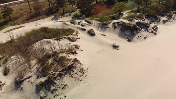 Sand Dunes Next to Green Forest