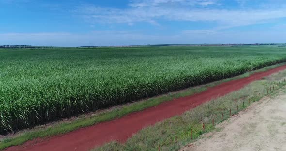 Inland sugar cane cultivation in São Paulo, Brazil. Aerials with drone in 4k.