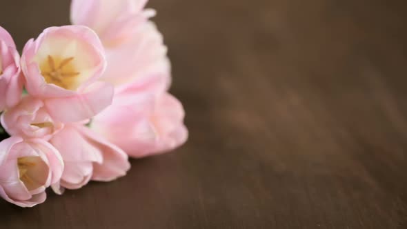 Light pink tulips on a wood background