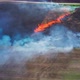 Prescribed burns - VideoHive Item for Sale